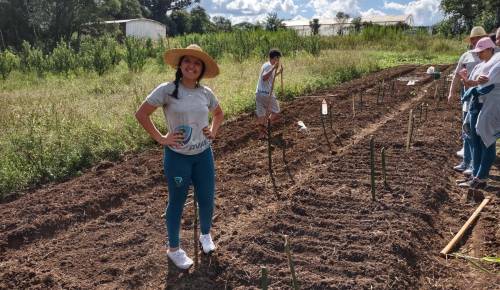 Técnico em Agropecuária