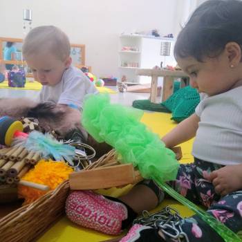 Os bebês e o Brincar Heurístico