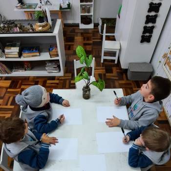 Salas de Referências