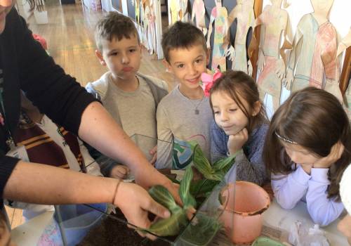 Construindo um terrário com Alfas 1,2,3 e 4 no Turno Integral