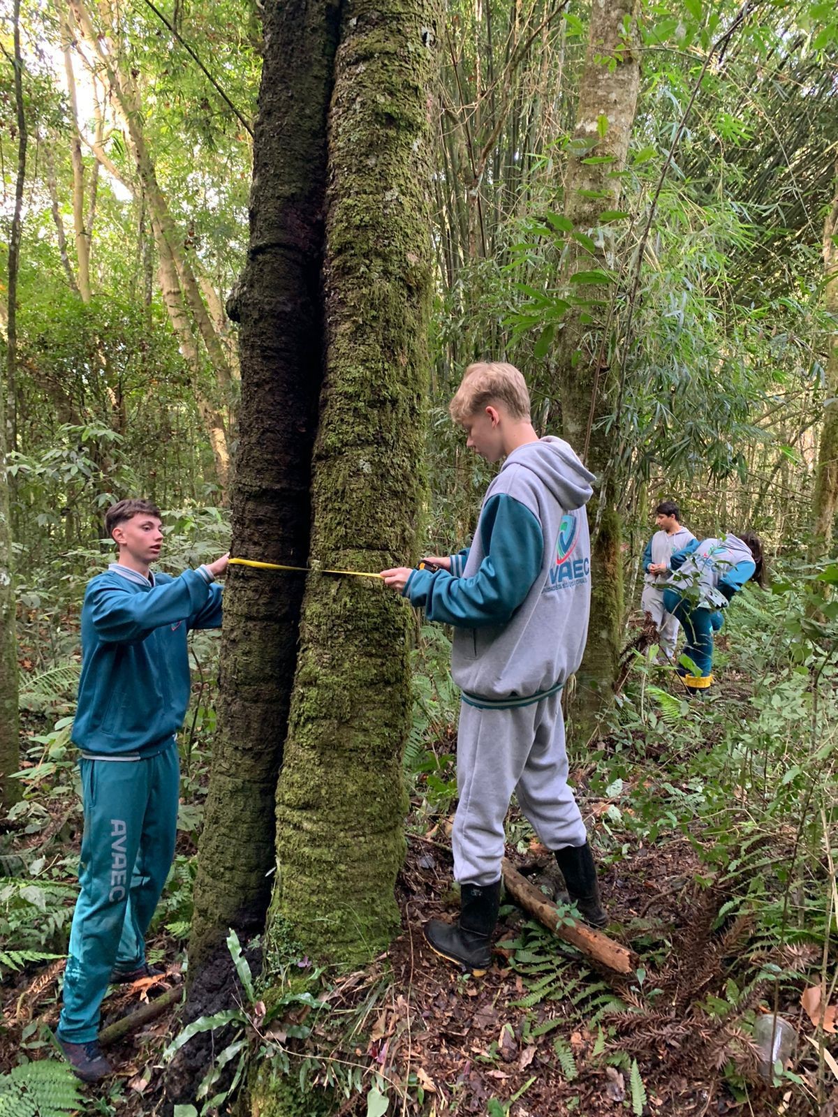 Experimentos técnicos com os Primeiros Anos do Ensino Médio