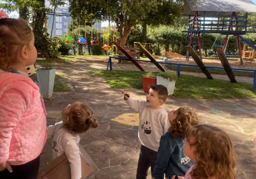 Expedição pelo pátio da Escola