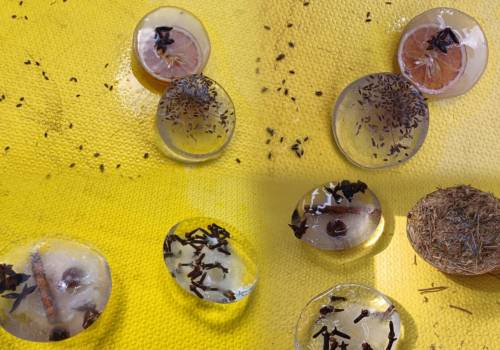 Brincando com o gelo