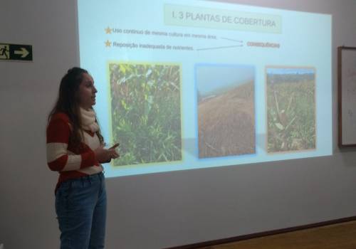 Banca examinadora do relatório final de estágio!