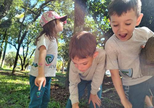 Alfas 1,2 e 3 realizam investigação sobre elementos da natureza