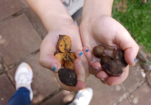 Nível 5B em expedição