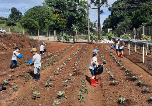 Projeto Sabor da Horta