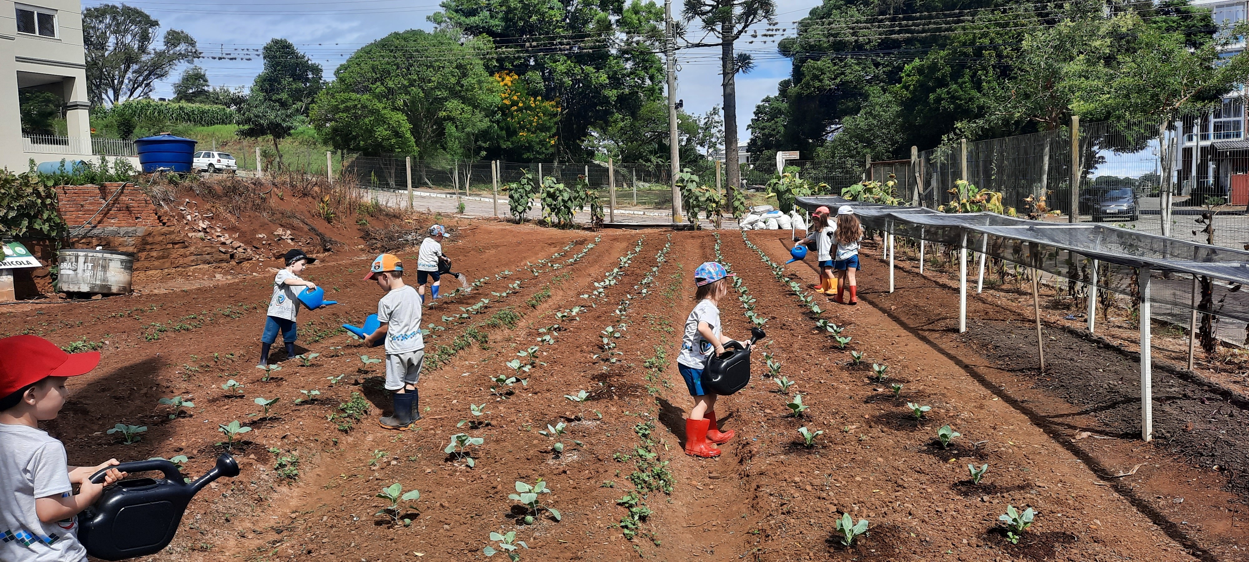 Projeto Sabor da Horta