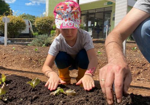 Nível 6 executa o projeto "Sabor da Horta"