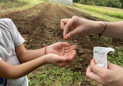 Páscoa, caça ao ninho e piquenique