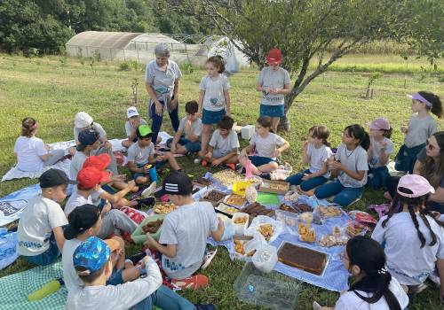Alfas 4 e 5 em um dia de piquenique