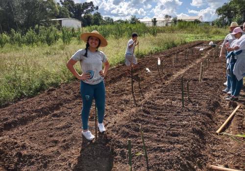 Plantio demonstrativo de forragens de inverno