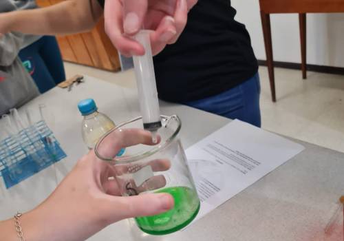 Experimentos com enzimas digestivas