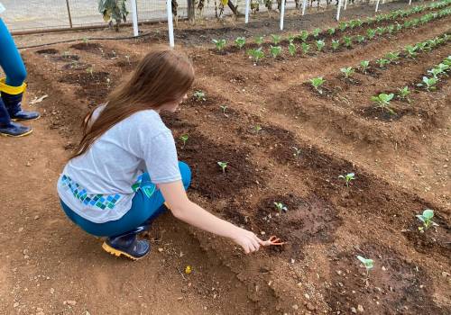 Horta Escolar: um espaço que une teoria à prática