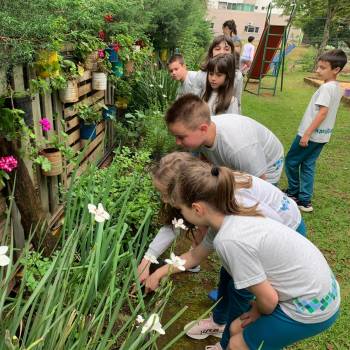 Educação Ambiental