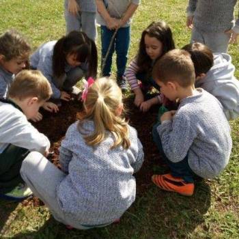 Educação Financeira